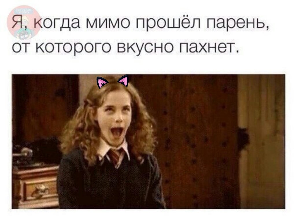 Вкусно пахнет мем. Обнимайте детей. Запах новой книги. Прикольные коты с надписями. От тебя так вкусно пахнет это фастум гель.