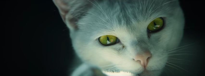 KingxAssassinx's tweet photo. Tom Clancy’s Ghost Recon: Wildlands The Red Dot Trailer
It has cats and it has guns, win
https://t.co/sGj2BlgeJu
#GhostReconWildlands https://t.co/AJ6wzsZhsF
