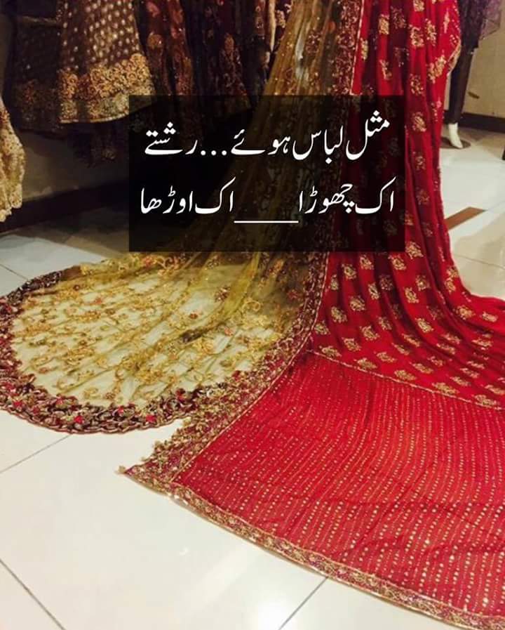 GhazanfarFida's tweet photo. https://t.co/kii3I1ZICu