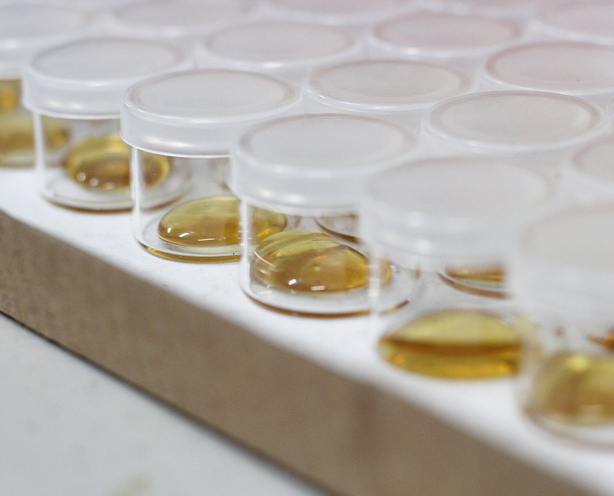 #LemonHaze 🍋🍋🍋🍋😁