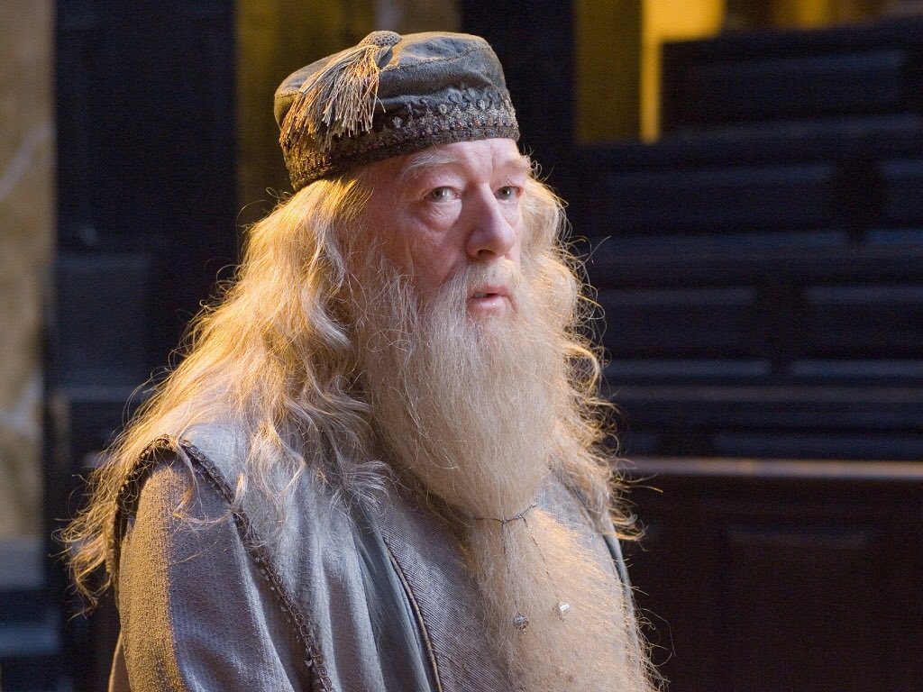 HogwartsGH's tweet photo. Things we lose have a way of coming back to us in the end, if not always in the way we expect. #Dumbledore #Hogwarts https://t.co/JjmppqffAU