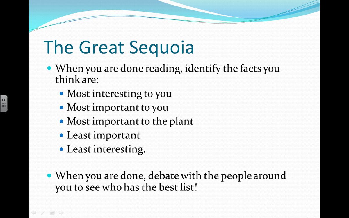 example easy essay zoo