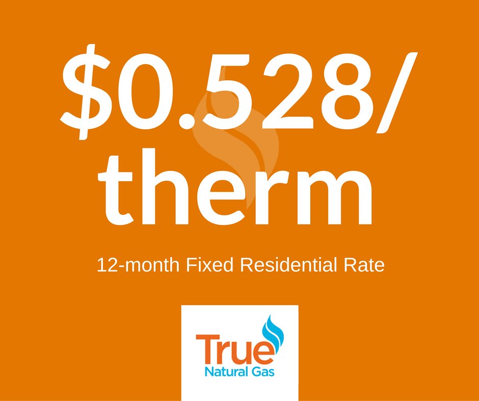 TrueNaturalGas's tweet image. Switch to TNG for one of the lowest 12-mo fixed residential rates in GA: $0.528/therm! Call 770-502-0226 or click: truenaturalgas.com.