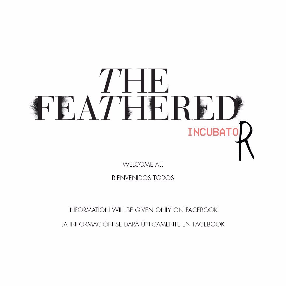 The_Feathered's tweet photo. Fecha límite, Enero 27! #thefeathered #incubator #newdesigners #CDMX https://t.co/KqvCraV3lg