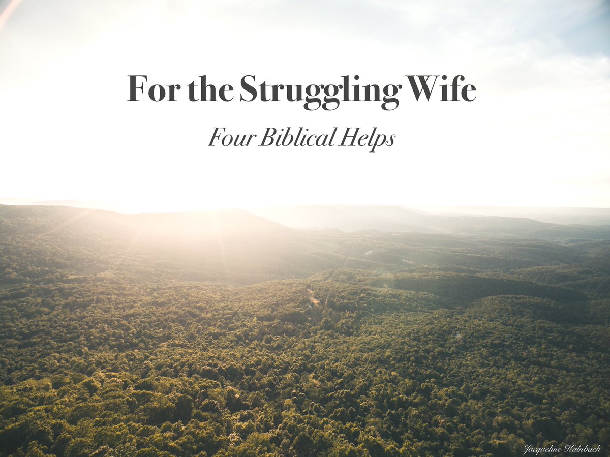 Jacqueline K tweet media