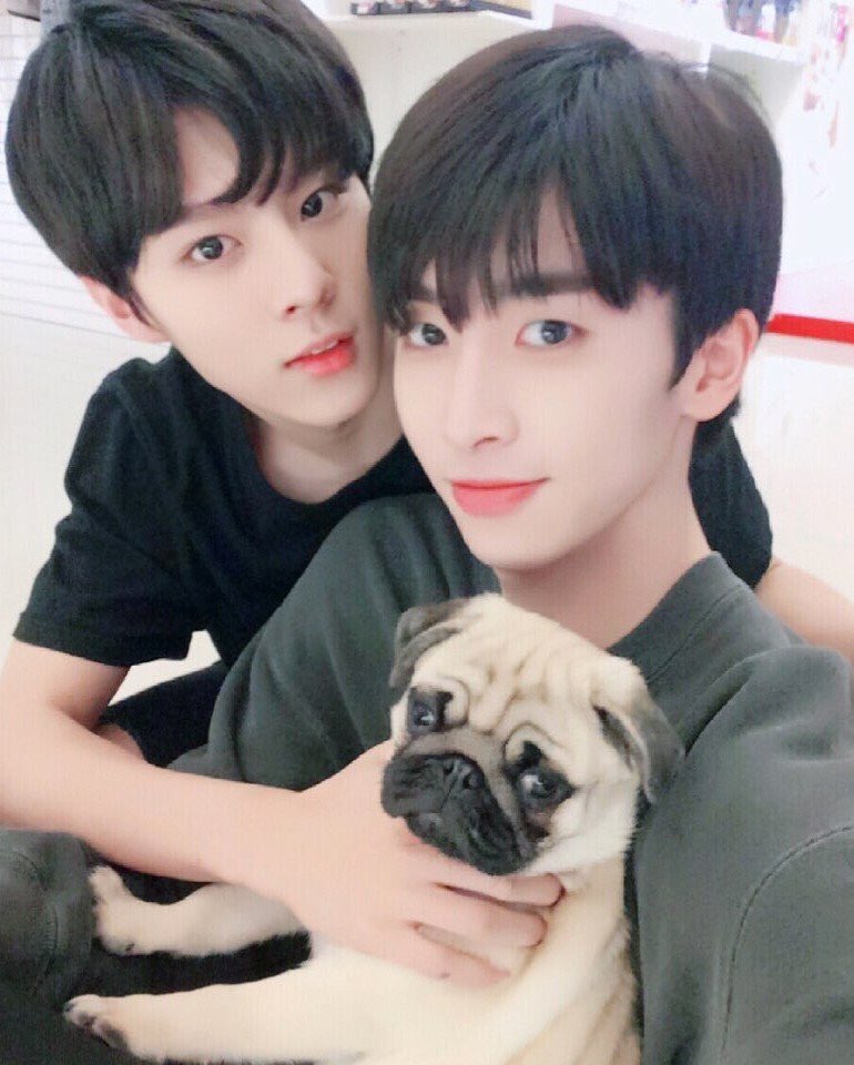xiaokrubx's tweet photo. ครอบครัวสุขสันต์โอลัส&amp;พี่ชุดหมีและหมา1ตัว @tistxwooshin https://t.co/A92HxfhqgR