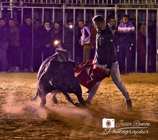 PurezayCasta's tweet photo. Así se las gasta el Sr. Daniel Rubio con una vaca de corro de La Paloma de Jalón. Tremendo. Y parece fácil... https://t.co/EeRihLOyRZ