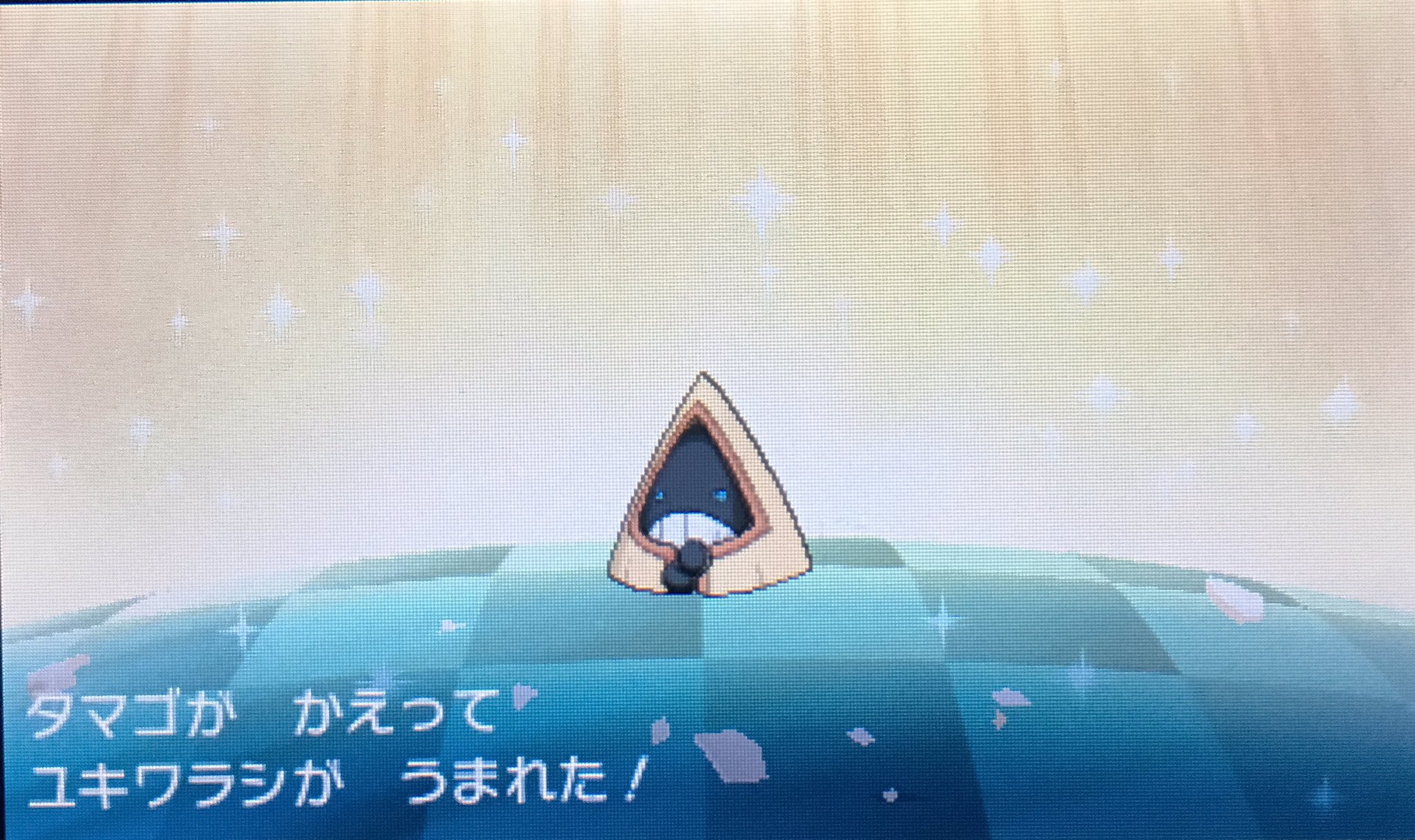 O Xrhsths Y タンタル Sto Twitter 温泉にあずけてた9個のたまごが一気にかえった ぽかぽかリゾートの孵化は便利だな ってかメスが多いな ポケモン ポケモン サン ムーン ポケモンサンムーン ポケサンやったる T Co Nlnq36mcjf Twitter