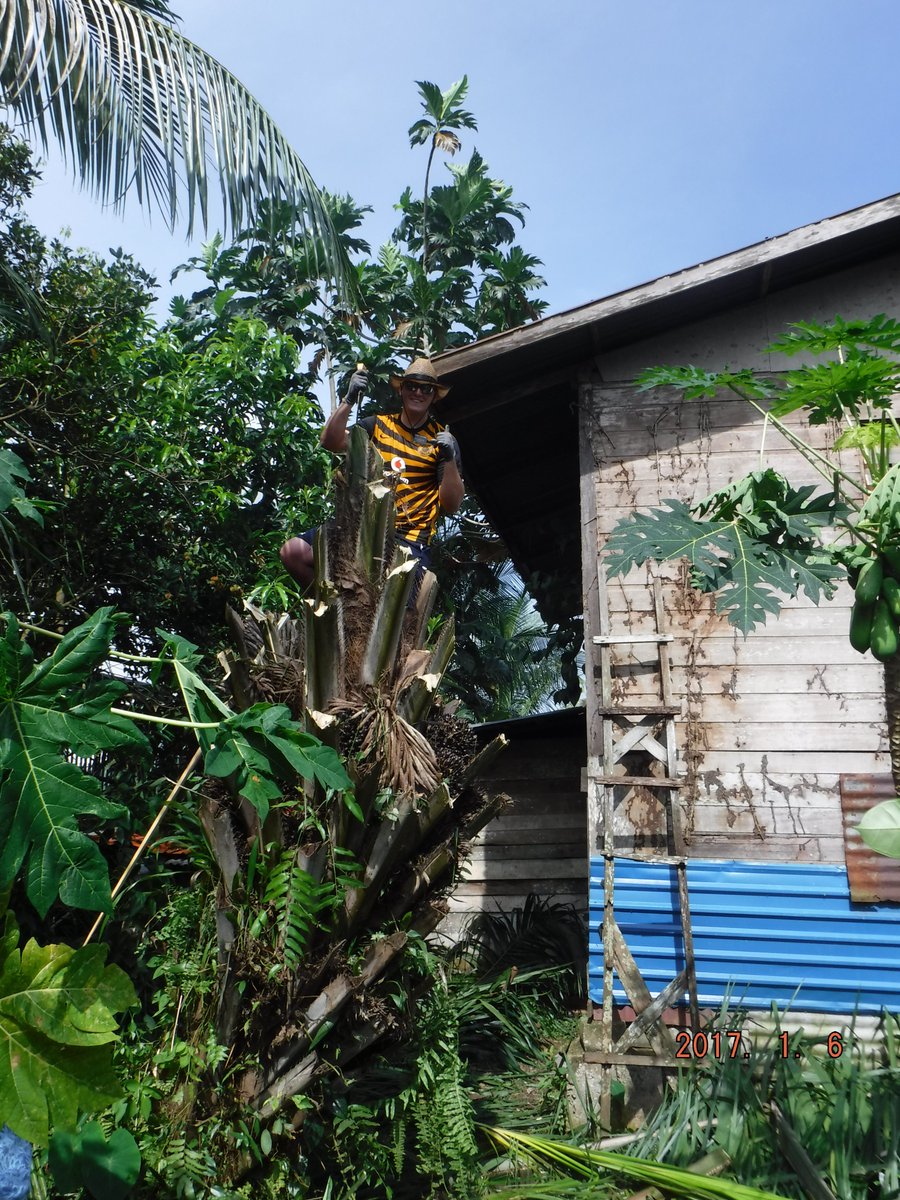 parkert96's tweet image. Elder Thompson Tree &amp;amp; Bug Services : Explained here:
ParkerLeeThompson.BlogSpot.com