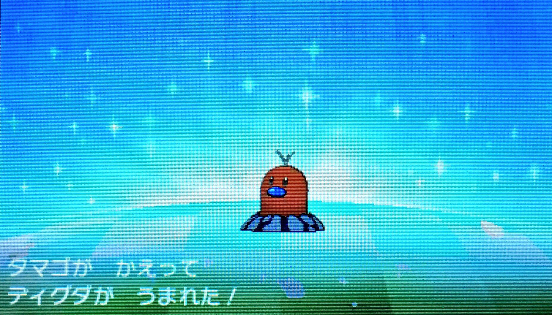 توییتر 隼レイカ در توییتر はやぶさの色違いディグダ アローラのすがた が生まれました ポケモンサンムーン 色違いポケモン T Co H7sdiqt9wq