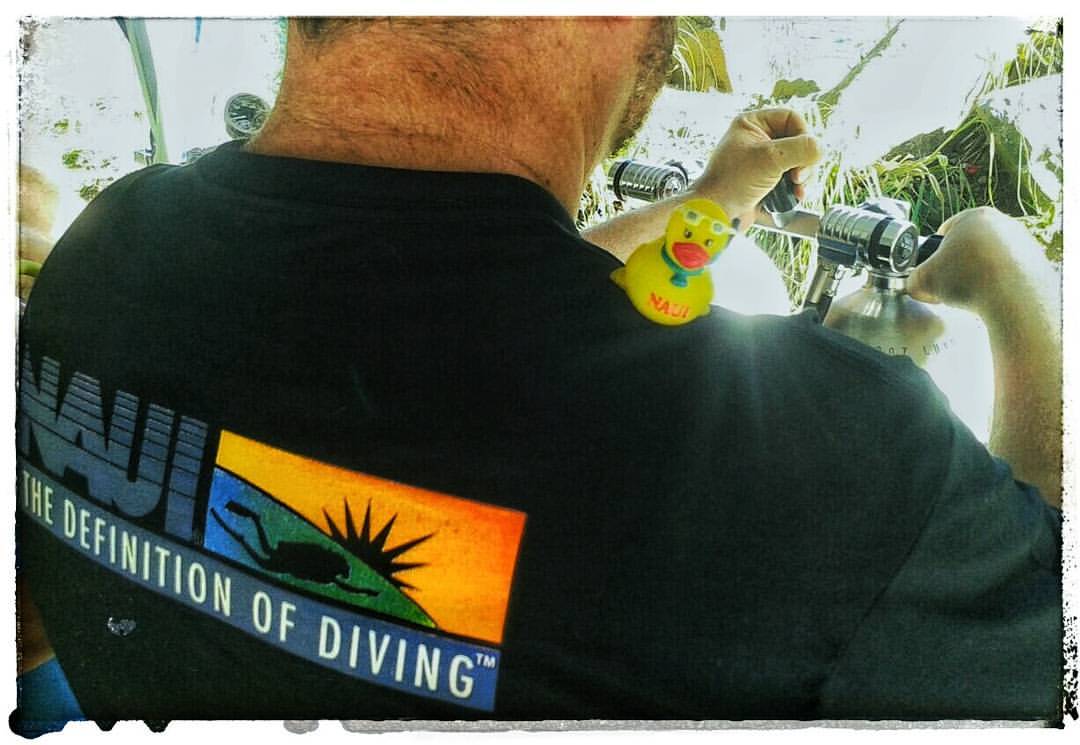 NAUIWorldwide's tweet photo. 2017 Contest: The #NAUIDuck is one of the most iconic figures of #NAUI. Showcase it in photos/videos to WIN BIG! Email Marketing@naui.org https://t.co/m3pI8Wx1ia