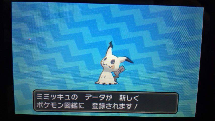 500以上のトップ画像をダウンロード ポケモン サンムーン コラッタ 500以上のトップ画像をダウンロード ポケモン サンムーン コラッタ