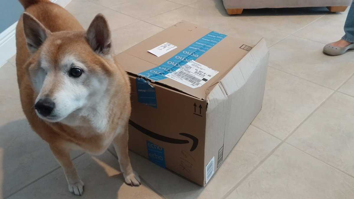 Chris Shaw tweet media