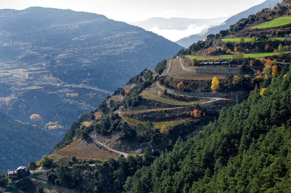 Para muitos ainda é apenas sinónimo de férias na neve e de compras. No entanto, no coração… mutante.pt/2017/01/vinho-…