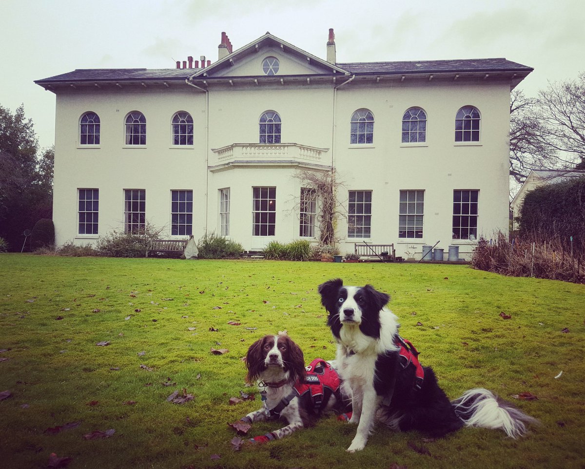 Enviro-Dogs tweet media