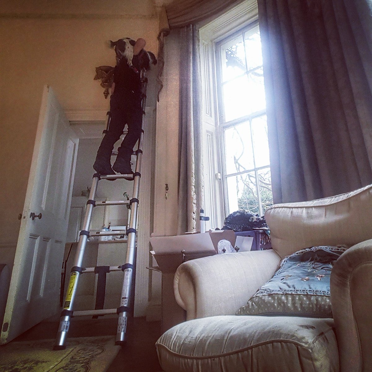 Enviro-Dogs tweet media