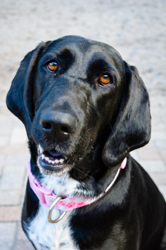 In case you missed it - Our January Newsletter conta.cc/2iFifK7