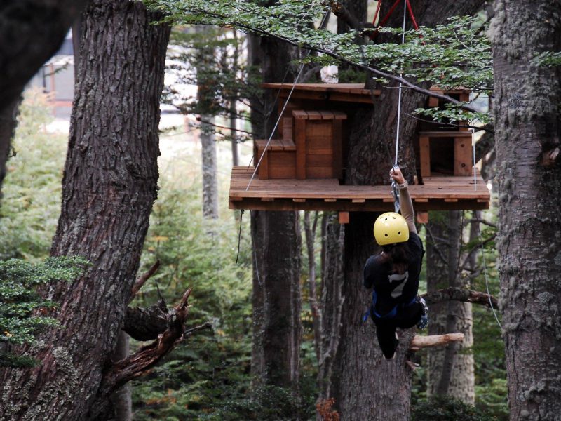 Excursionfy's tweet photo. #Excursiones #QueHacerEnUshuaia #YoQuiero 
Canopy #Ushuaia la sensación de volar en el Fin del Mundo! 

Reservas--> https://t.co/0h3UsAt40h https://t.co/QFxl3xOrzH