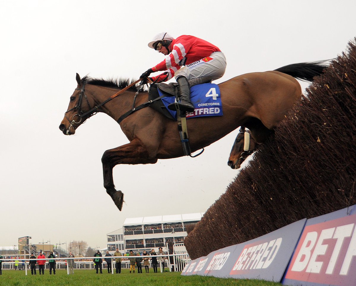 ICYMI: Injury set to rule former winner #Coneygree out of Gold Cup: bit.ly/2ia11WJ