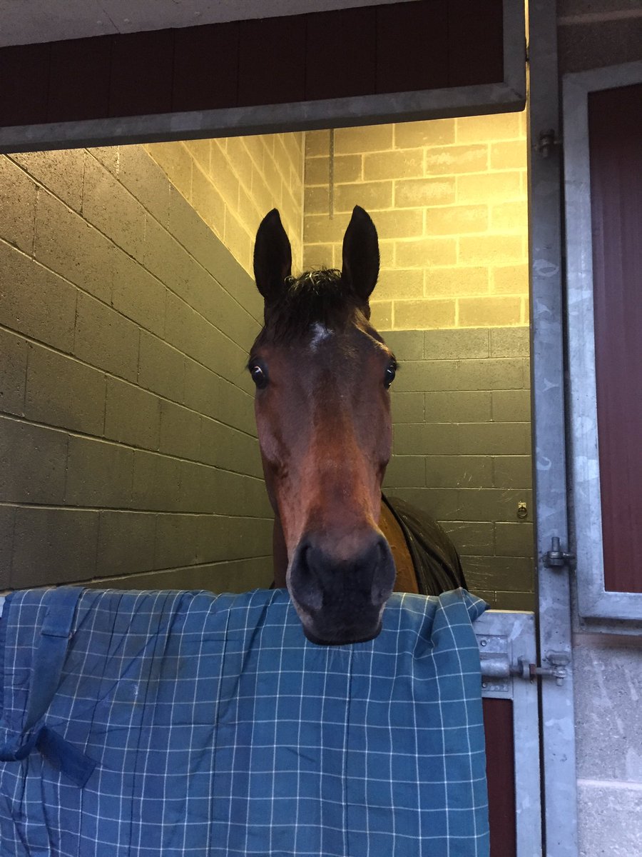 Shulton_Fay's tweet image. Someone's very happy with them self . Pleased with Donald's run. #3rd #DoncasterRaces #DeputyCommander
