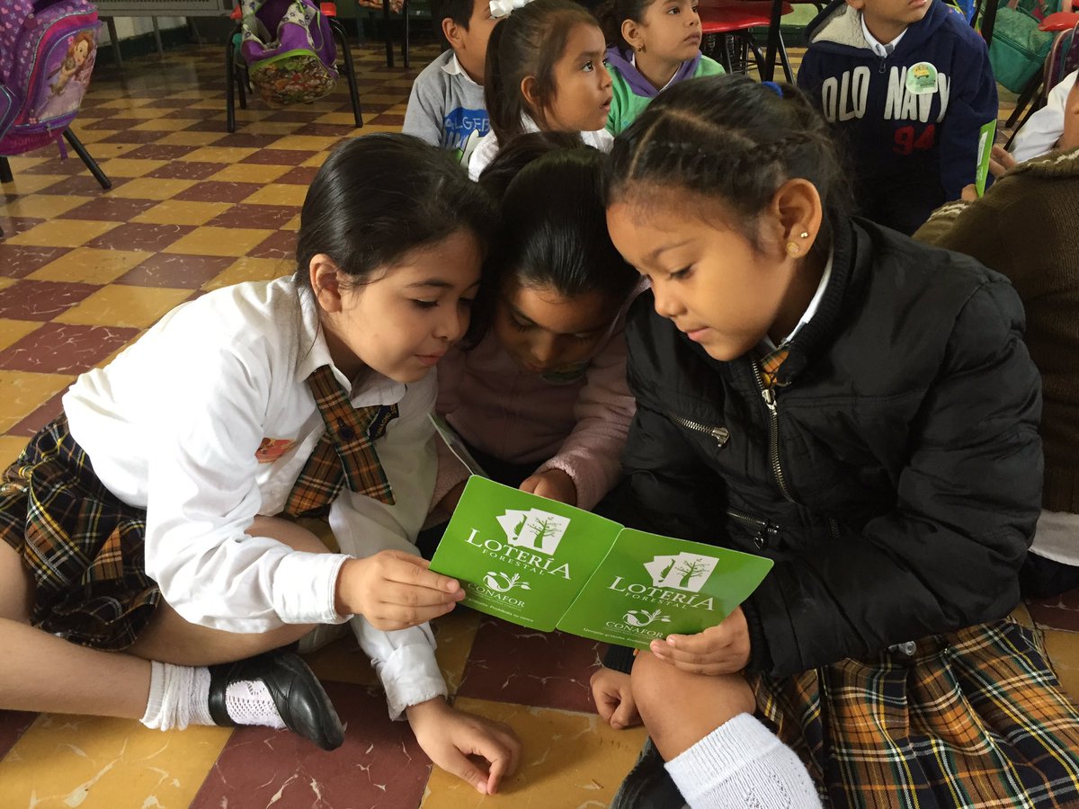 alecontrerascl's tweet photo. Con toda la #ActitudDecidida realizando actividades de cultura forestal en la Primaria Avila Camacho de Cosamaloapan @CONAFOR #Veracruz https://t.co/gwIV6uKZwG