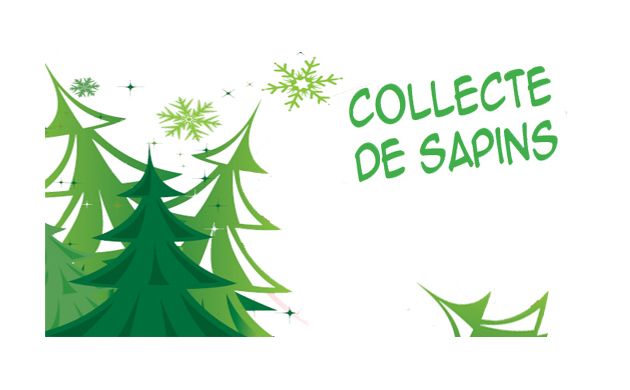 Collecte de sapins de Noël le mardi 10 janvier au matin. Merci de les déposer sur le trottoir la veille au soir.
buff.ly/2jtxQzu
