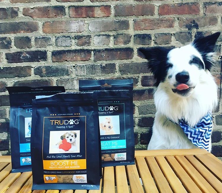 TruPet's tweet photo. Dear hooman- please place these treats and boosters directly on tongue. Please and thank you 🐶👅 @pharrellandrosie https://t.co/qPID3pSmer