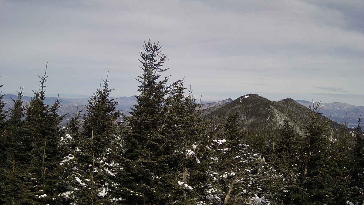 MtMitchellStPk's tweet photo. Mount Mitchell State Park and the Blue Ridge Parkway access from the north and south are still closed due to icy conditions https://t.co/100vCrjpjn