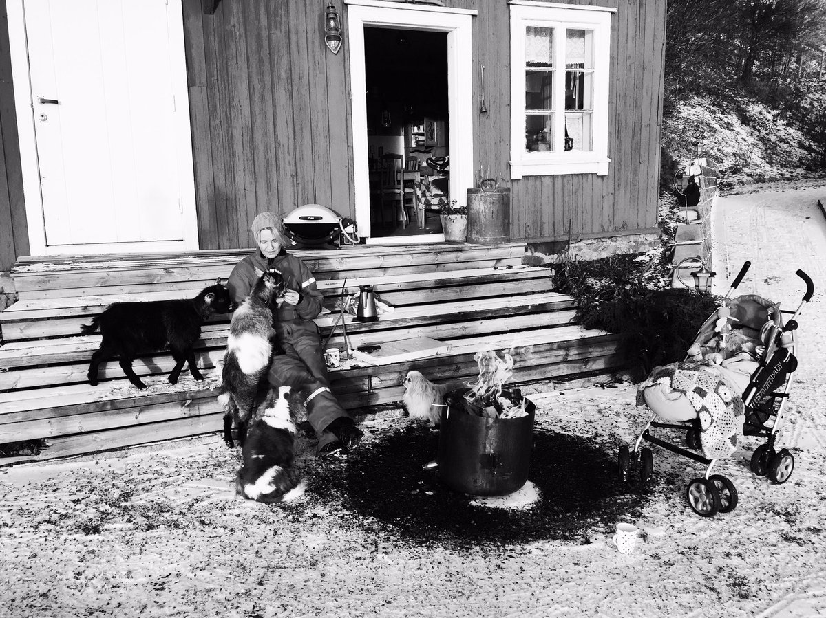 MarteAnne's tweet photo. #home #oldhouse #goat  #dog #norway https://t.co/CIqG4OuKLW