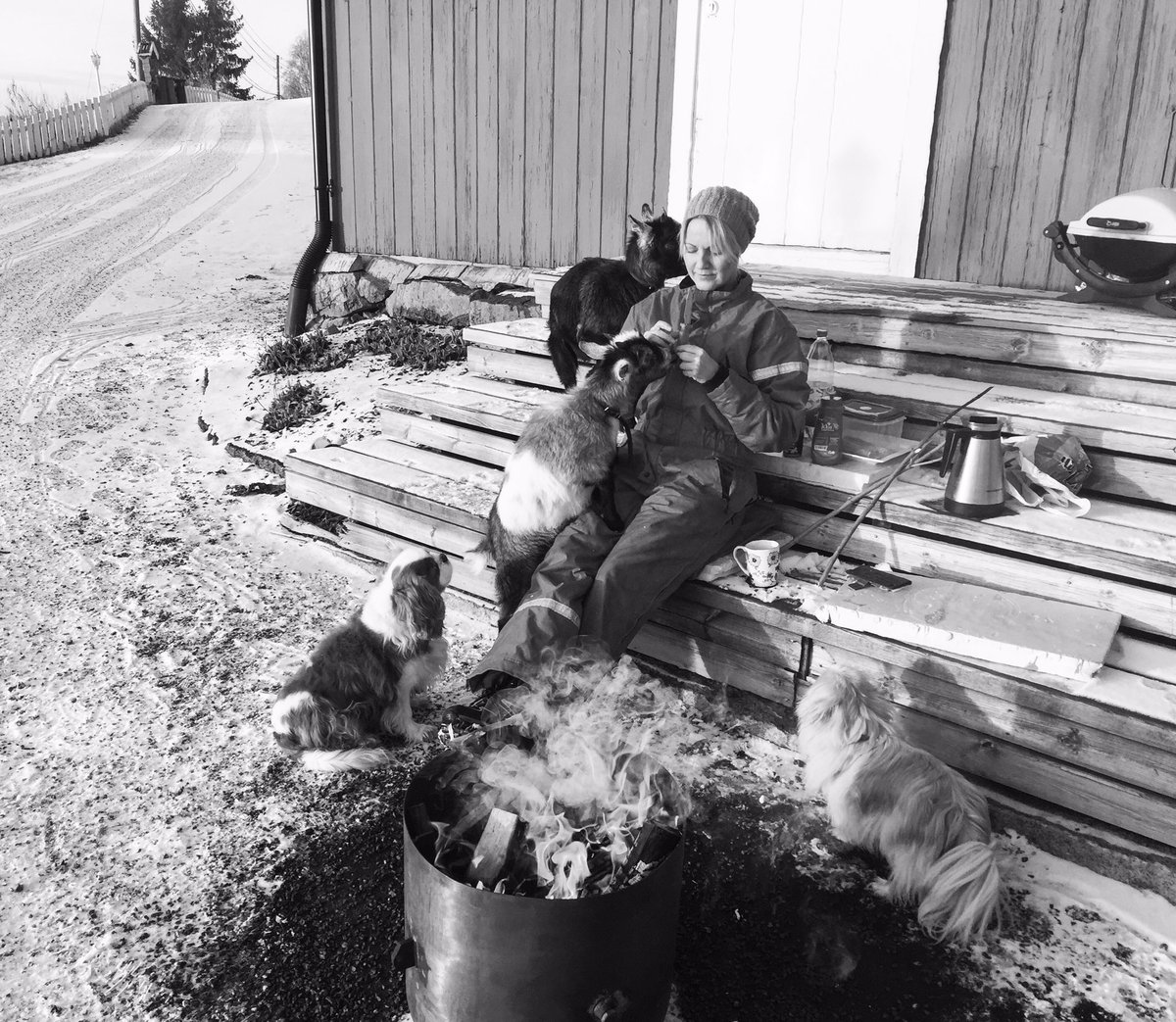 MarteAnne's tweet photo. #home #oldhouse #goat  #dog #norway https://t.co/CIqG4OuKLW