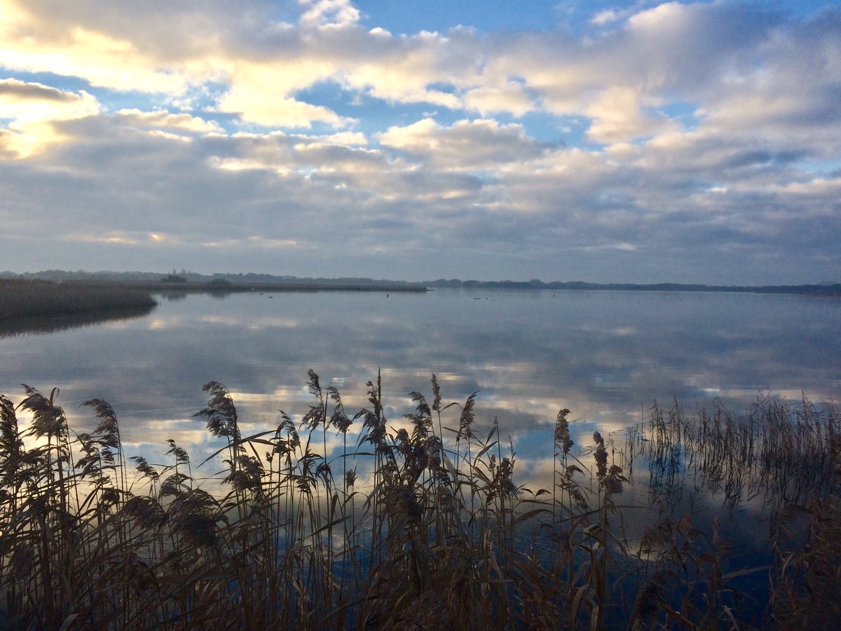 helenmburrows's tweet photo. @SupportNWT Hickling Broad yesterday was a stunning oasis of stillness and calm with fly past from #2BarnOwls #2Cranes #7MarshHarriers https://t.co/7u9DmxNbdk