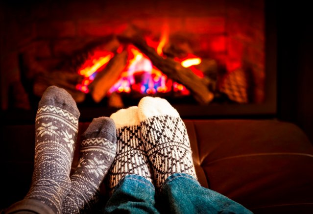 This Little Piggy tweet media