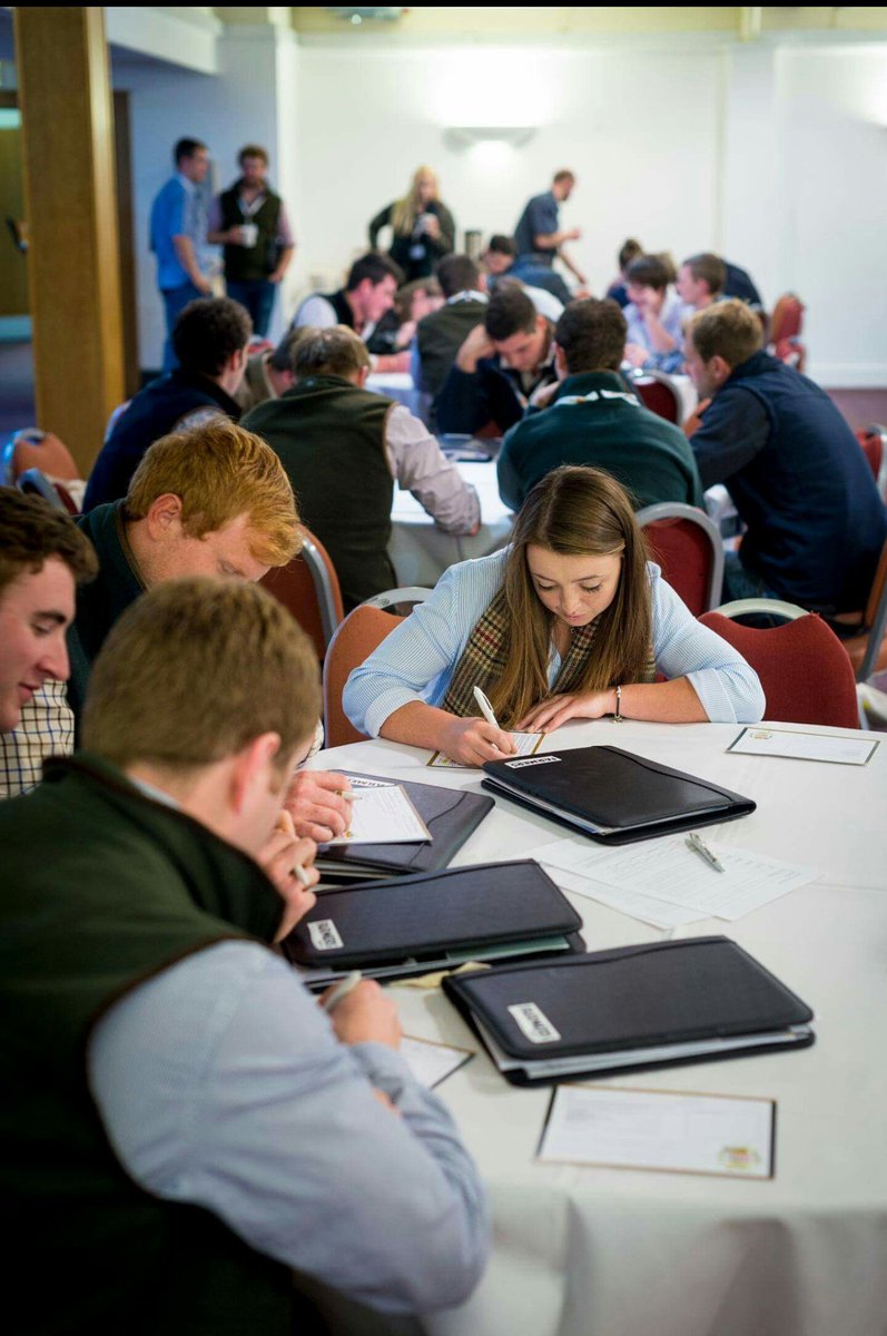 TrowGreg's tweet photo. Catch in the action #fertileminds16 insight days #pyf @McDonaldsUKNews https://t.co/yZHoZcn1Ml