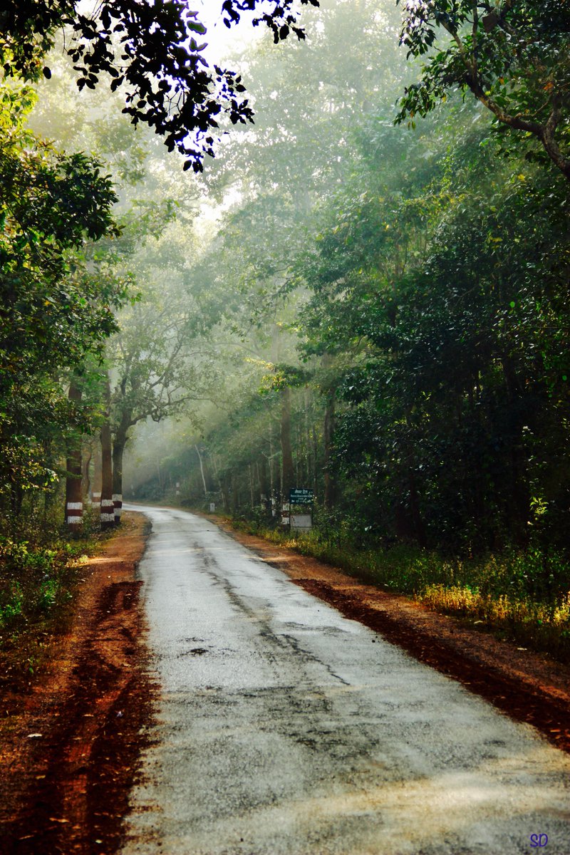 <a href="/travelphotos_/">Travel Photos</a> <a href="/Photography2025/">Digital Photography</a> <a href="/TravelPhotoTips/">Travel Photo Tours</a> <a href="/Pictureof_the_d/">PictureOfTheDay</a> <a href="/jagdalpur/">Jagdalpur</a> #jagdalpur #travelphotography #photography <a href="/Wildlife_102/">Wildlife Photography</a>