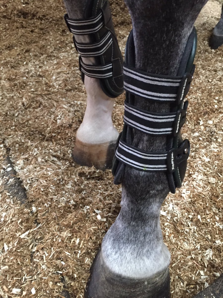 FranCallan's tweet photo. Smartest boots ever! These awesome liners mould to the leg,and are designed to absorb impact and protect! Our horses jump with confidence 💪🏼 https://t.co/3LiPb8xRKc