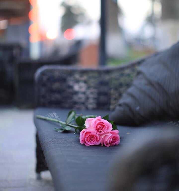 ~ من أرآد جمآلاً : فَ الأخلآق تگفيه 
؛؛
#صمتي_جوابي࿐