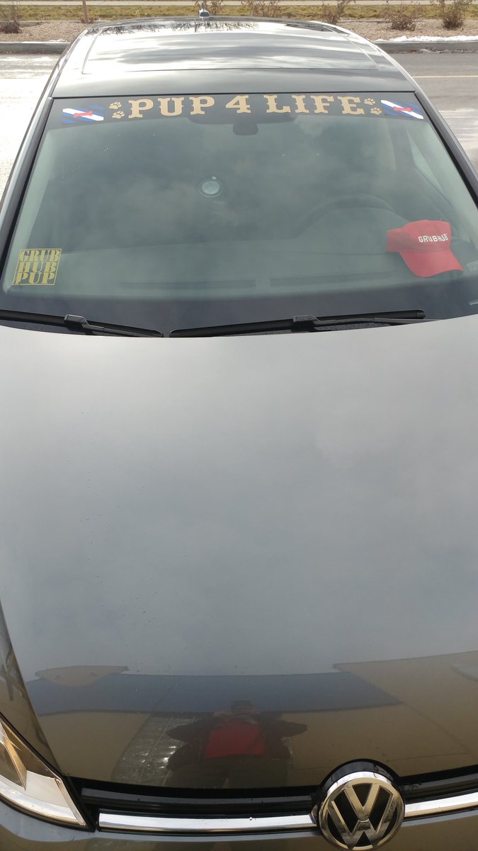 BetaPupAnk's tweet photo. Loving my job. Being a grubhub driver. And I am a grub hub pup #pup4life #grubhubpup https://t.co/plkgnGssbF