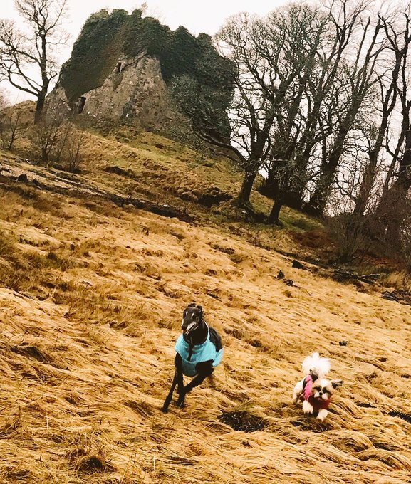 View image on Twitter View image on Twitter