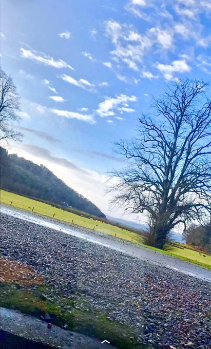 View image on Twitter