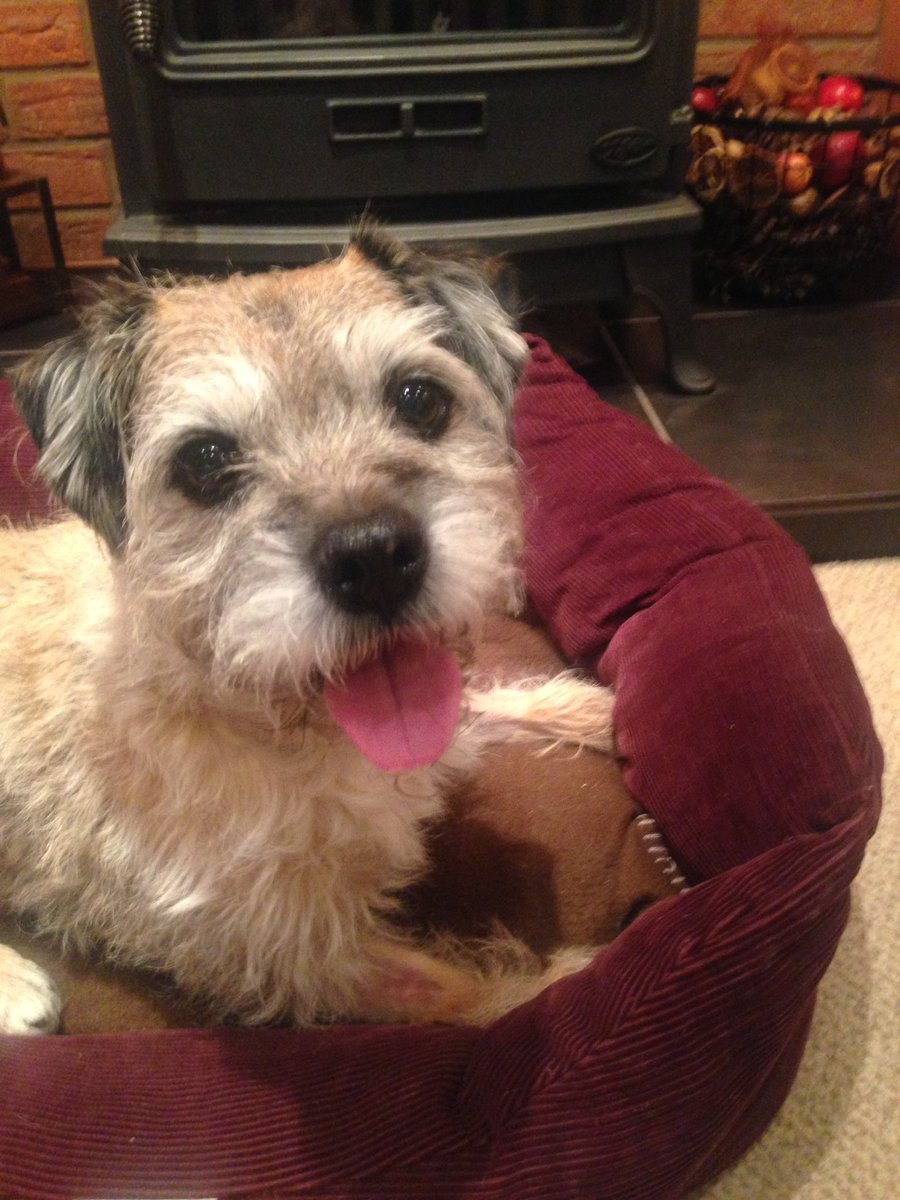 borderonwheels's tweet image. 🎉🎉PALS I'M HOME🎉I LOVE EACH &amp;amp; EVERYONE OF YOU FROM THE BOTTOM OF MY HEART ❤️️ #SirBensonsPorch #bensonsporch Thankyou😄I'll tweet again later