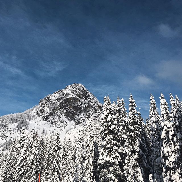 The beauty of the PNW.  #provenancehotels