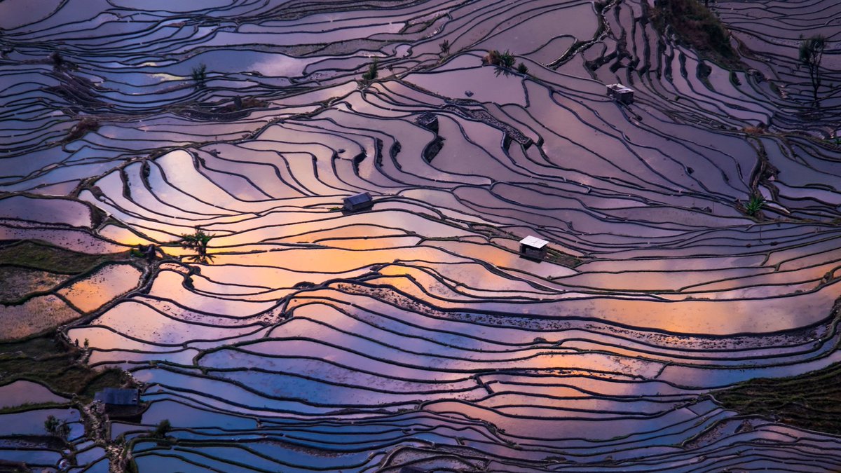 alexantrial's tweet photo. Colourful Reflection

https://t.co/O3V7odrtZd https://t.co/nBizFeCFXR