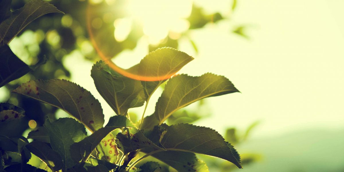 These tips will improve your home's energy efficiency and help you #gogreen | bit.ly/2bSSLpb