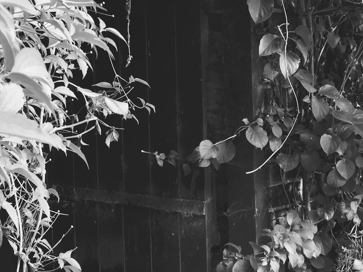 hideaway_info's tweet image. Want to learn how to cook?! #cookerycourse #learnhowtocook #harrogatehour #caterers #yorkshire #girlsatlunch #yorkhour