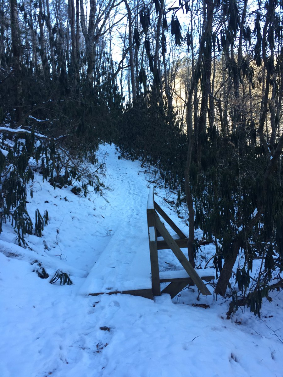 NOCWesser's tweet photo. A little stroll up to Rufus Morgan Shelter and back. #AppalachianTrail https://t.co/6PWMj4SkxW