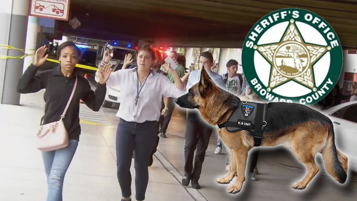 Tourist bitten by K-9 during FLL shooting chaos, got into police cruiser to hide bit.ly/2i72VZH https://t.co/YnH7vFrJnG