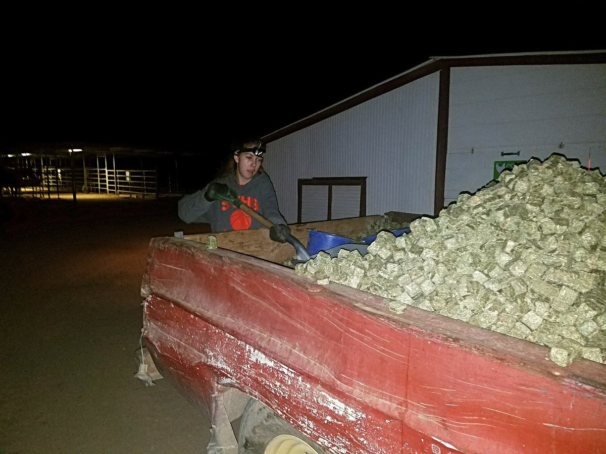 Grace feeding the ranch animal's!#SandyValleyRanch