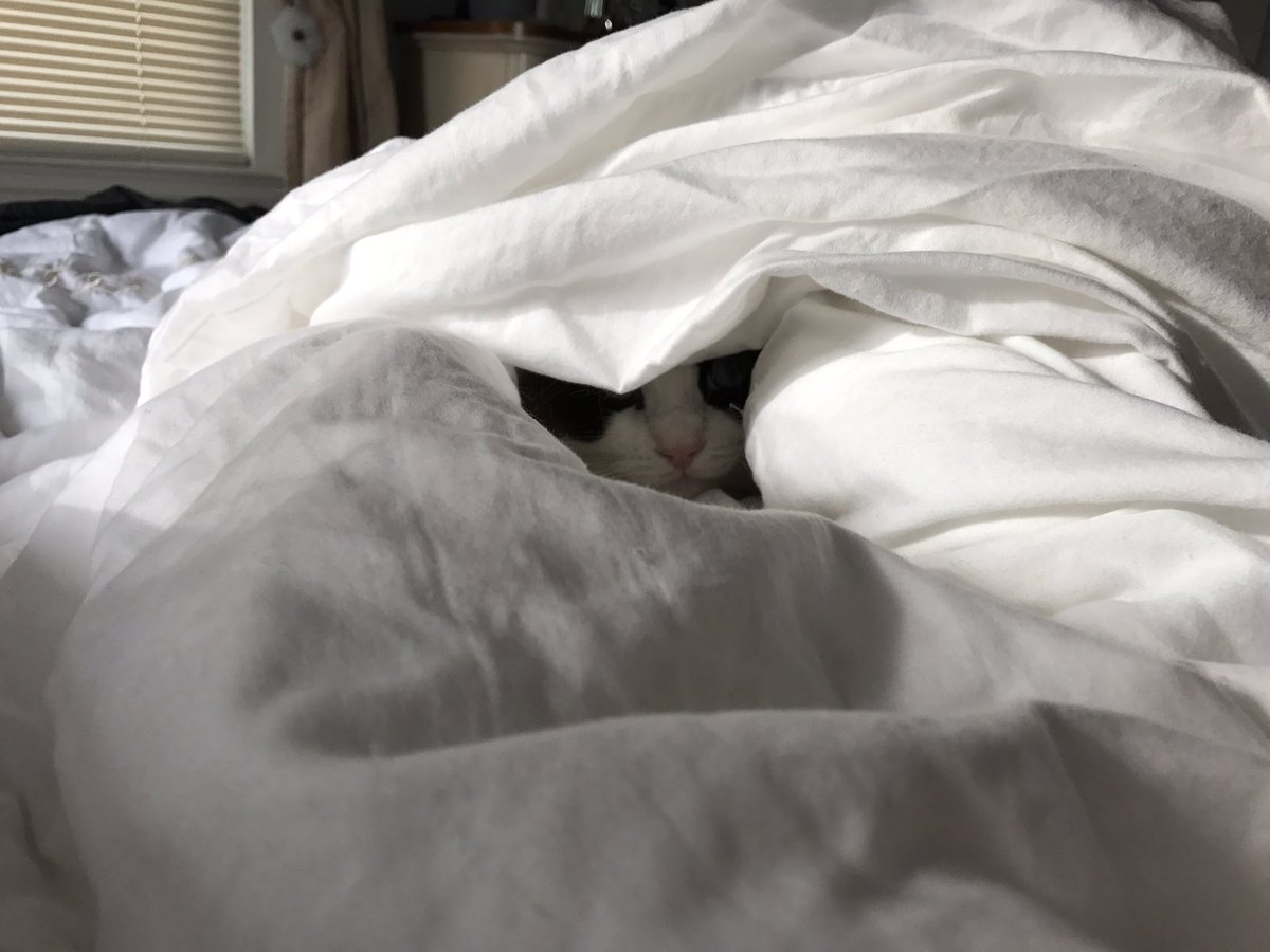 If nobody finds me, I'll spend the rest of January in here. #gandit #nycwinters #sooocooold
