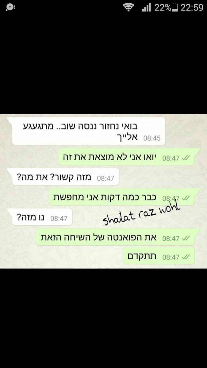 Noam motola tweet media