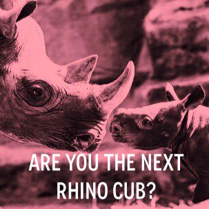 We're looking for an intern! Details here: fancyrhino.com/now-hiring-pro…